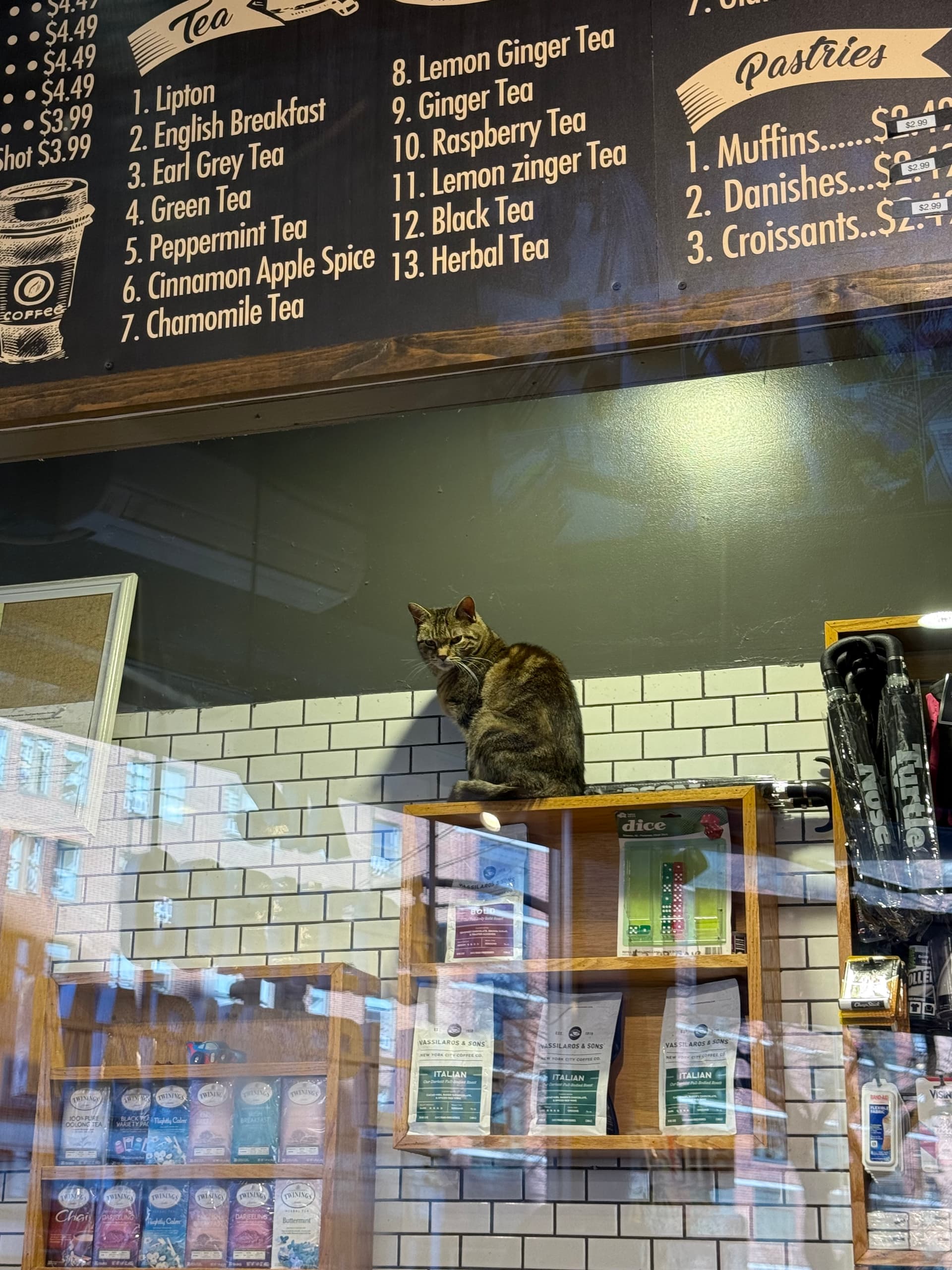 A cat sitting on the counter of Six Corners Deli